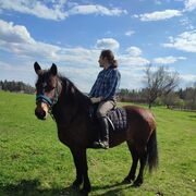 ���������� �����, ���� ������� ����, 35 ���, ������������ ��� ������, ����� � ���������