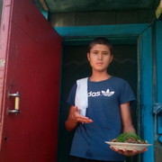 ���������� ���������, ���� ������� ����, 28 ���, ������������ ��� ������, ����� � ���������, c�������� ���������