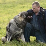 ���������� ������, ���� ������� �����, 44 ����, ������������ ��� ������, ����� � ���������