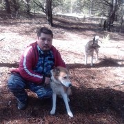  ,   , 34 ,   ,   , c , 