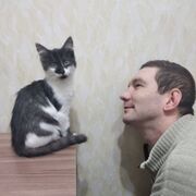 ���������� ������, ���� ������� �������, 40 ���, ������������ ��� ������, ����� � ���������, c�������� ���������, ���������