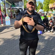 ���������� �����������, ���� ������� ���������, 38 ���, ������������ ��� ������, ����� � ���������