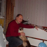  ,   , 50 ,   ,   , c 