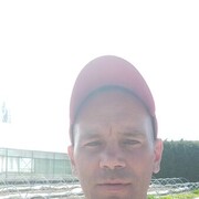 ,   , 41 ,   ,   