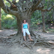 ���������� ����, ���� ������� ������, 41 ���, ������������ ��� ������, ����� � ���������, c�������� ���������