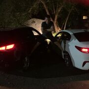 ���������� ��������, ���� ������� ���������, 38 ���, ������������ ��� ������, ����� � ���������