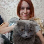 ���������� ���������, ������� ���, 33