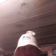  ,   , 38 ,   