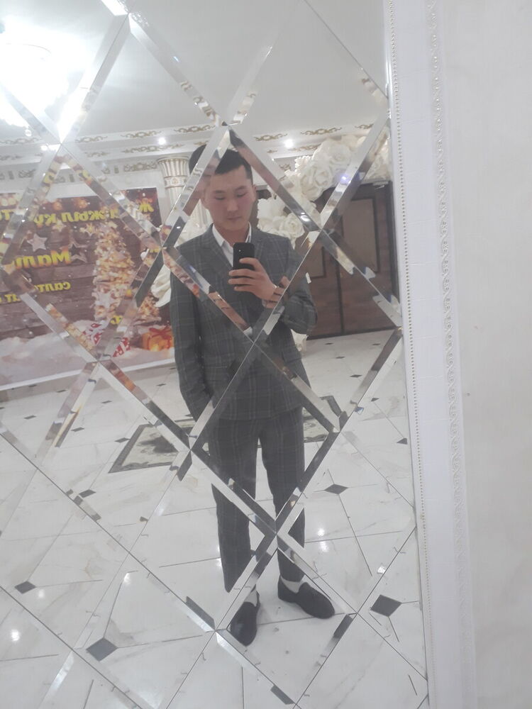  20381480  , 29 ,    