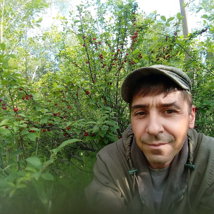 ���������� ����������, ���� ������� ������, 47 ���, ������������ 