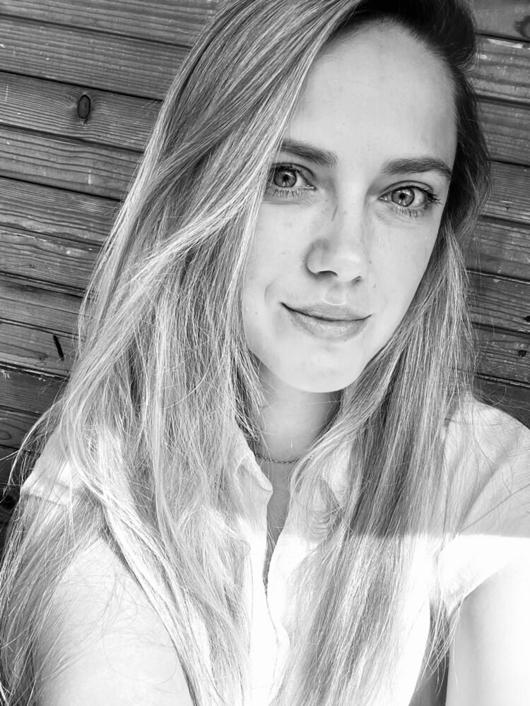  53886850  , 31 ,    -