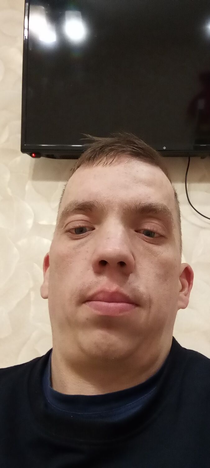  41288310  , 31 ,    