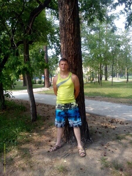 ���� 12033860 ������� �������, 44 ����, ���� ���������� � ��������