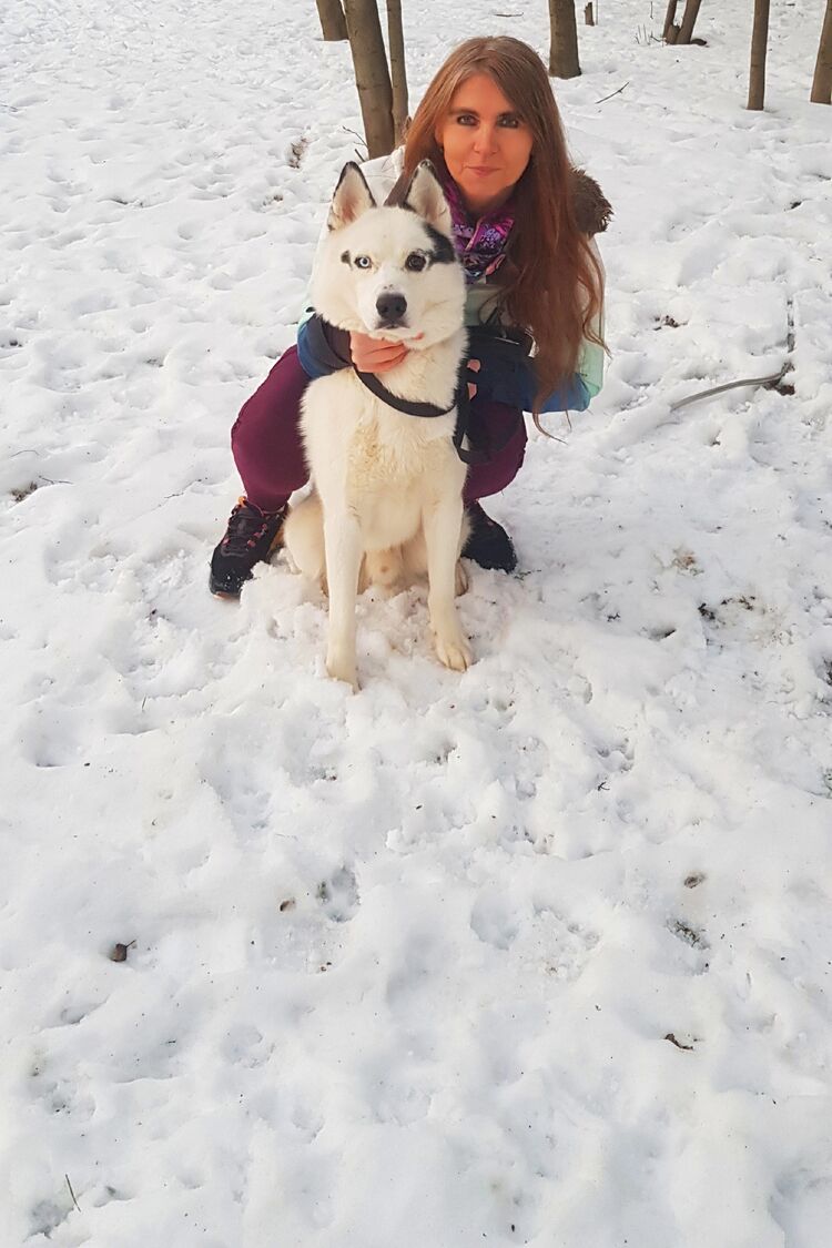 ���� 55995360 ������� ��������, 56 ���, ���� ���������� � �����-����������