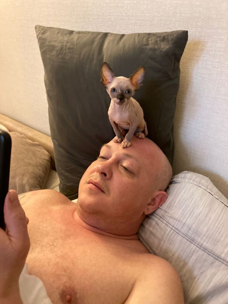  ,   , 44 ,   ,   