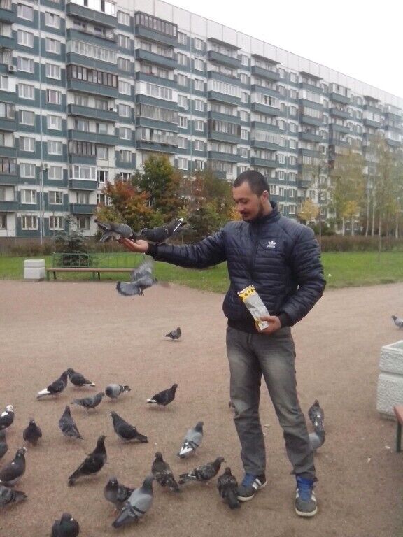 ���� 40851230 ������� ��������, 33 ����, ���� ���������� � ����������