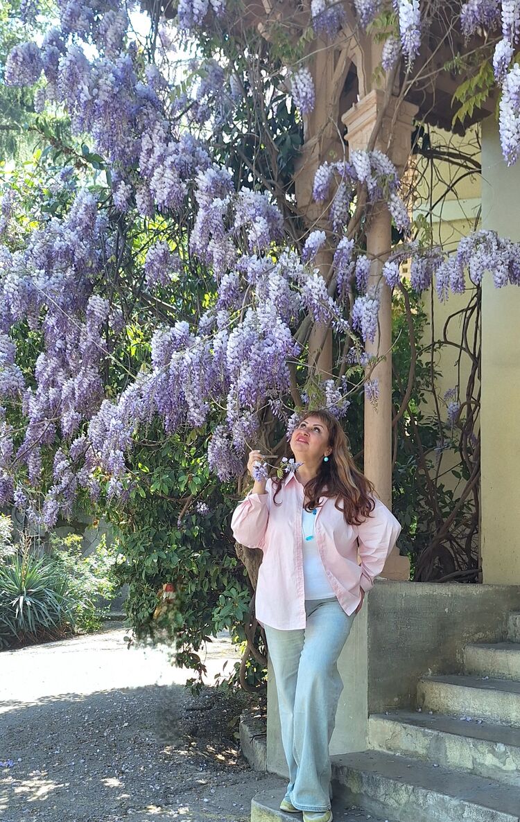 ���� 54905010 ������� �������, 49 ���, ���� ���������� � ������