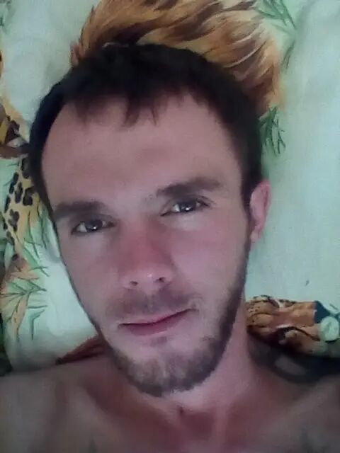 ���� 40240380 ������� �������, 38 ���, ���� ���������� � ������