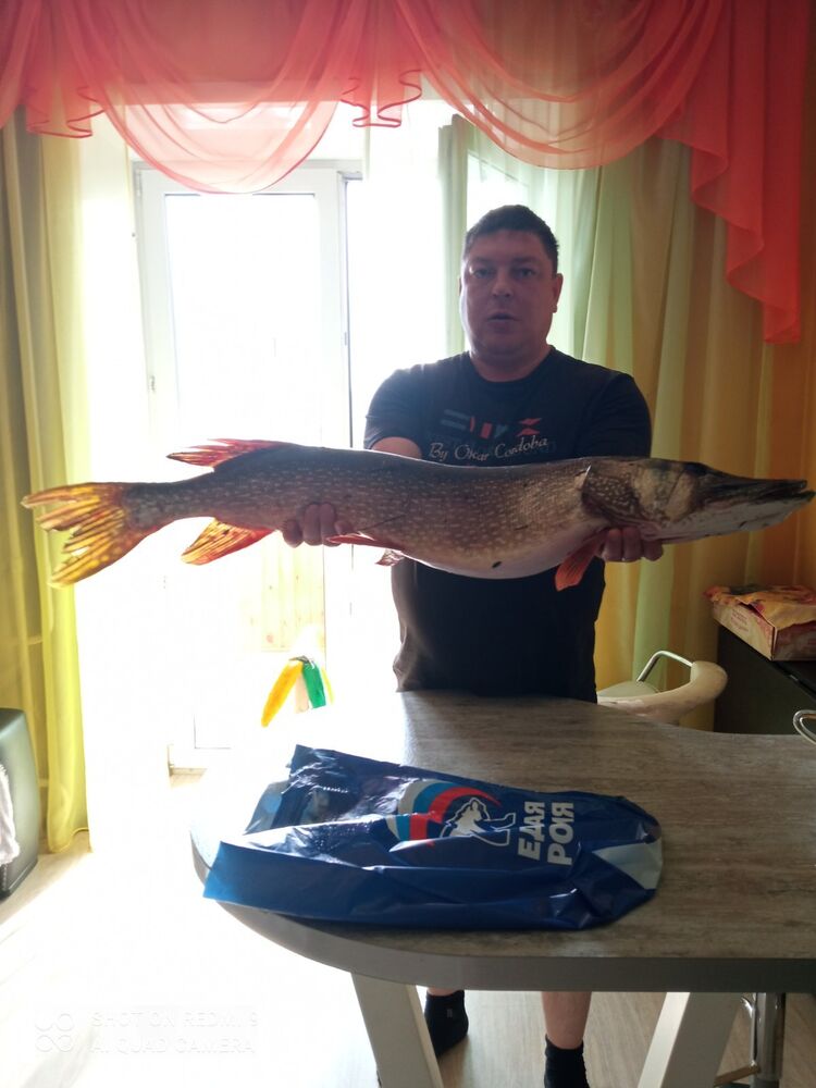 ���� 37673370 ������� �������, 36 ���, ���� ���������� � ����