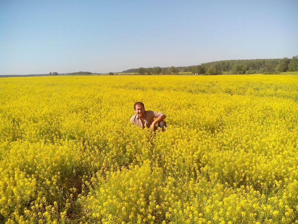 ���������� �������, ���� ������� Jamik, 38 ���, ������������ ��� ������, ����� � ���������