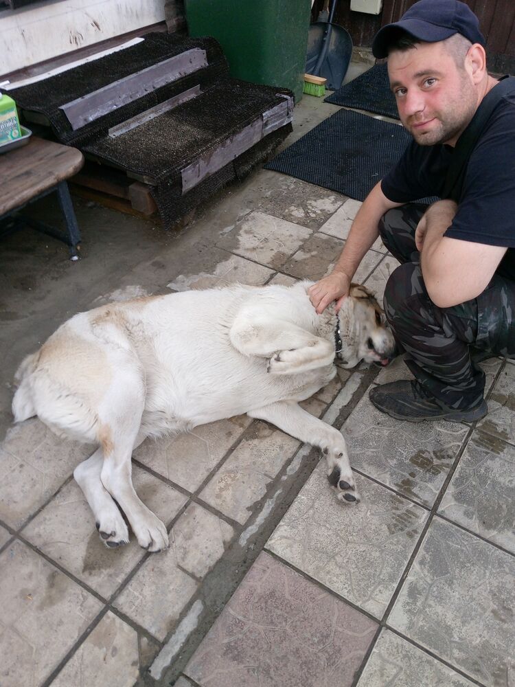 ���������� ����, ���� ������� �����, 35 ���, ������������ ��� ������, ����� � ���������, c�������� ���������