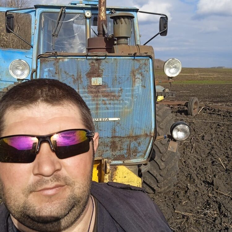  53250880  , 37 ,    