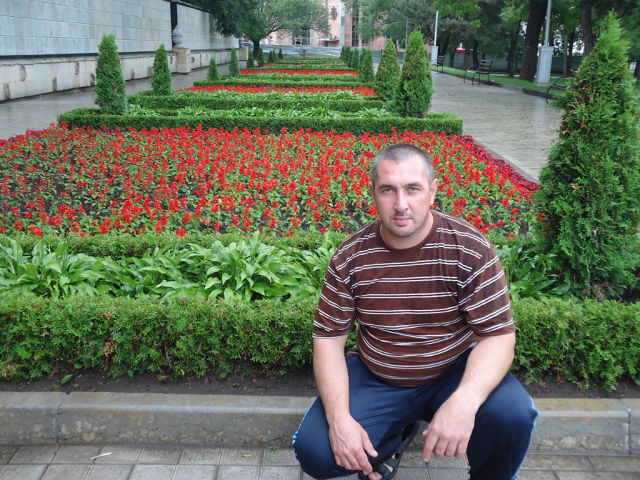 ���� 7136410 ������� ������, 50 ���, ���� ���������� � ����������