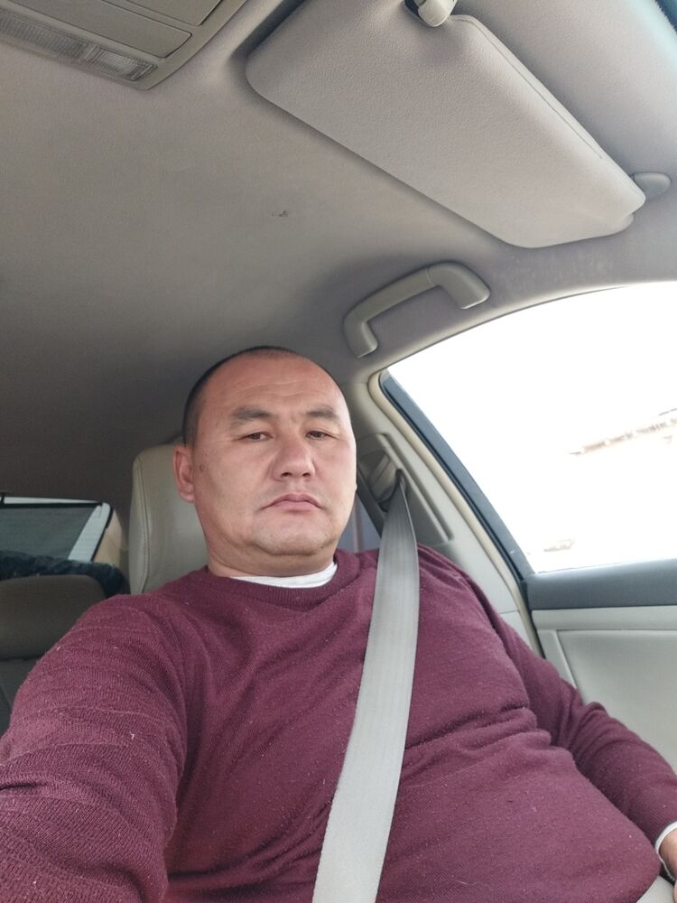  23640780  , 46 ,    