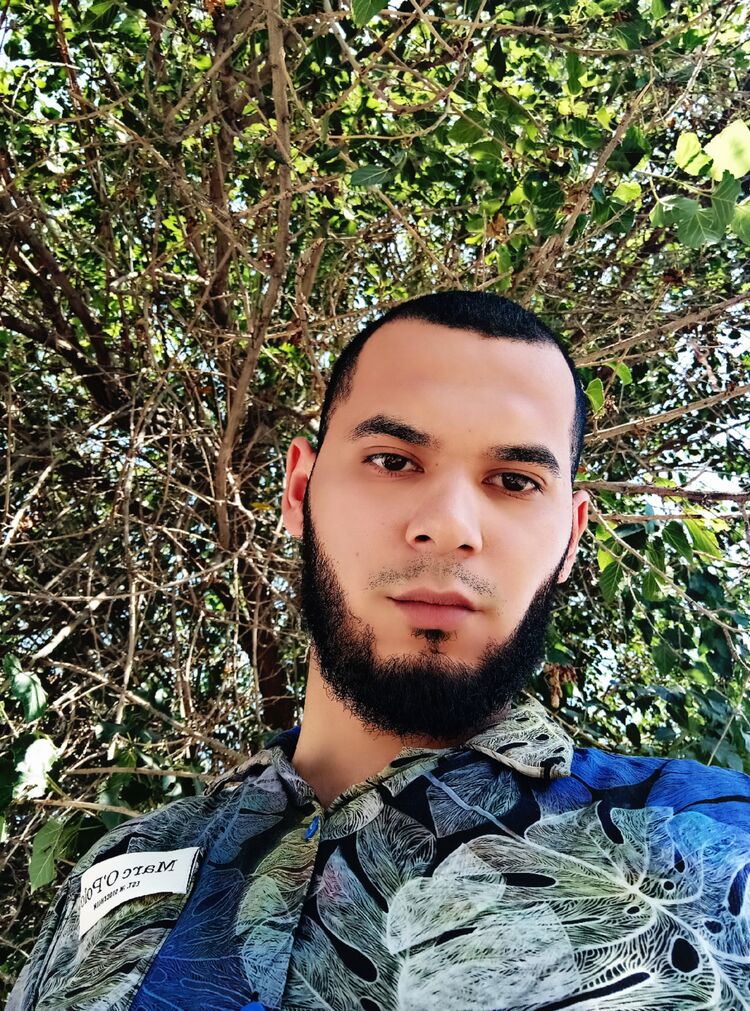 ���� 45204140 ����� ������, 22 ����, ���� ���������� � ��������