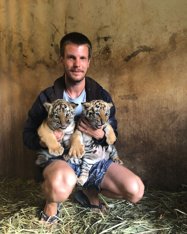 ���������� ������, ���� ������� �����, 40 ���, ������������ ��� ������, ����� � ���������