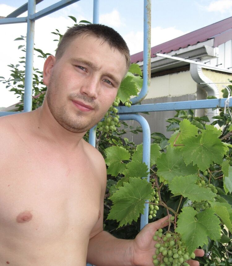 ���������� �����, ���� ������� ����, 38 ���, ������������ ��� ������, ����� � ���������