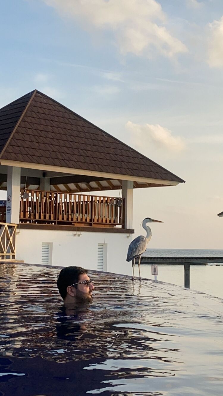 ���������� ������, ���� ������� ����, 32 ����, ������������ ��� ������, ����� � ���������