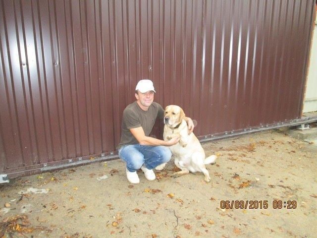  9953490  , 99 ,    Cicero