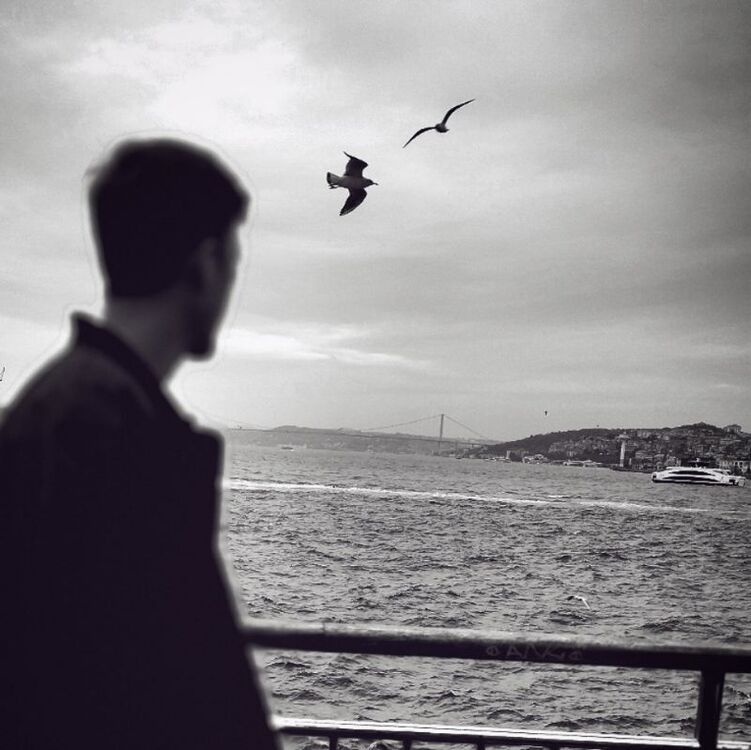 ���� 32976120 ������� Diplo, 32 ����, ���� ���������� � ��������