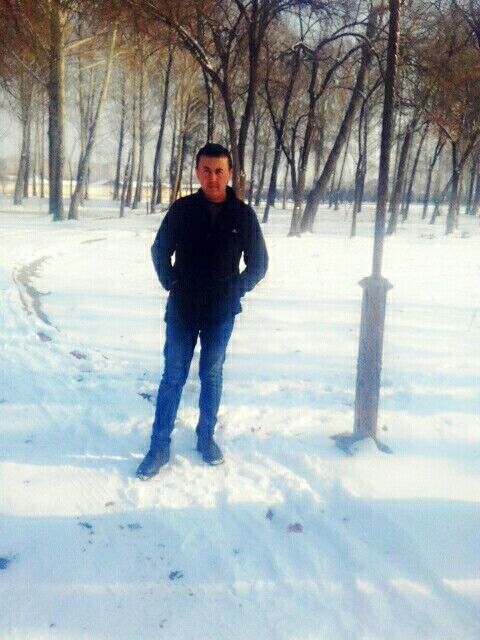  22338800  , 37 ,    