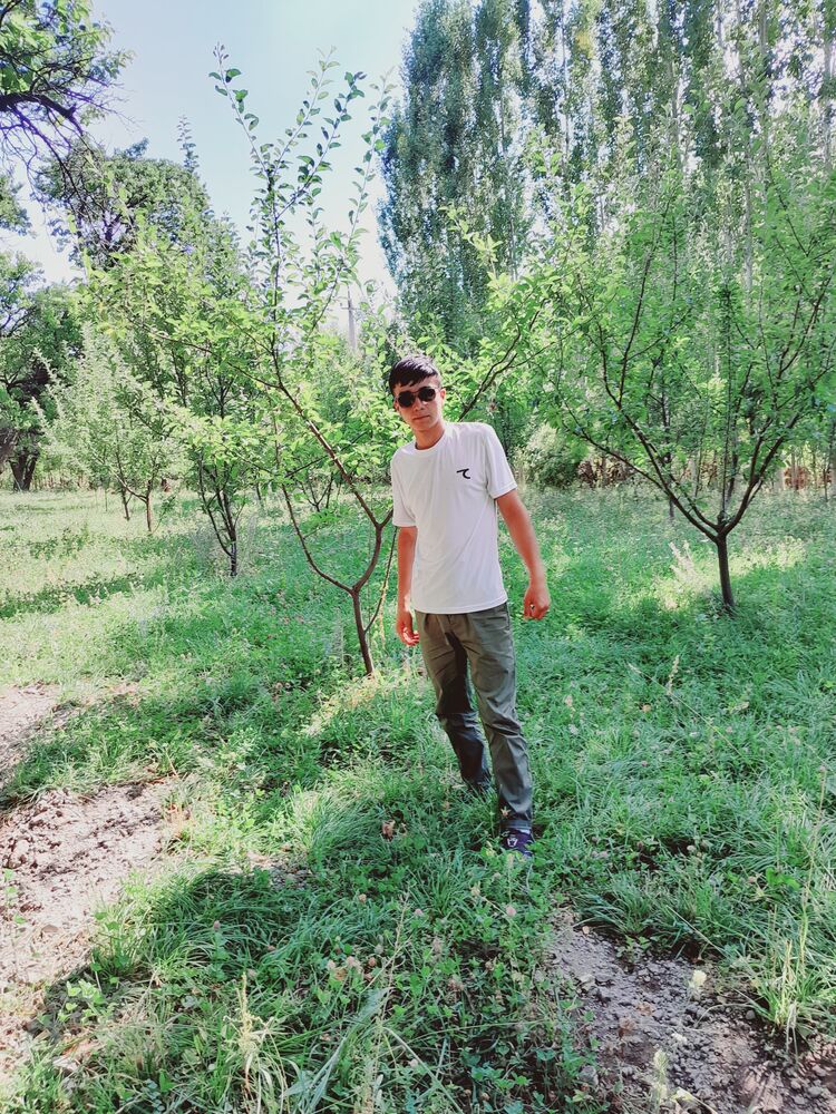 ���� 50406270 ����� �����, 22 ����, ���� ���������� � �������