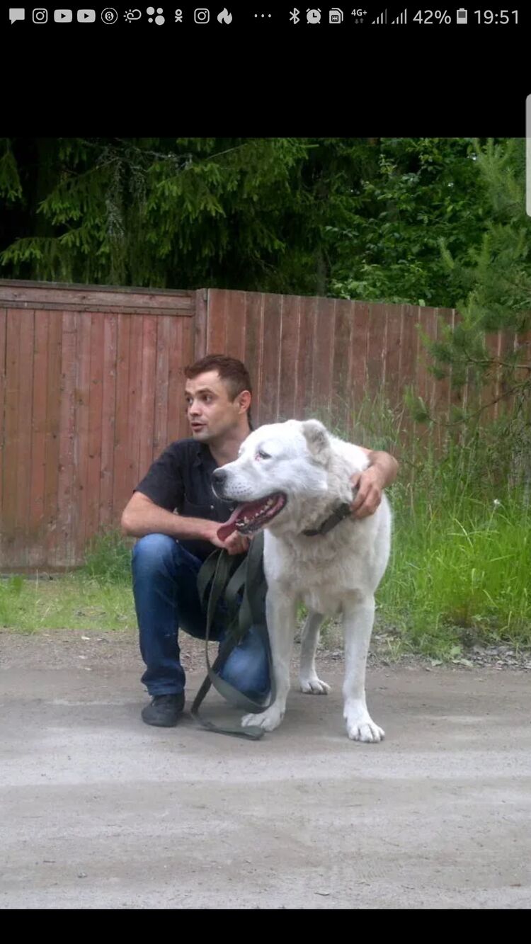 ���� 25734330 ������� Djamik, 39 ���, ���� ���������� � �����-����������