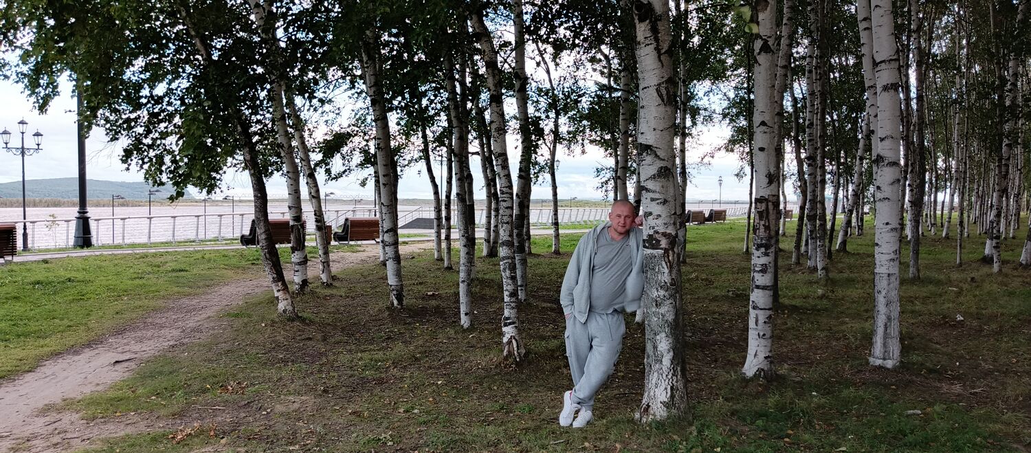  54357880  , 37 ,    --