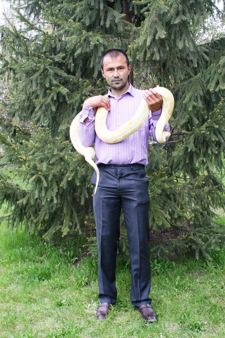  ,   Rustam, 38 ,   