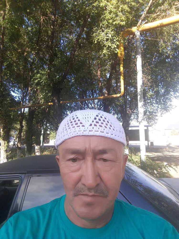  17954980  Saur, 63 ,    