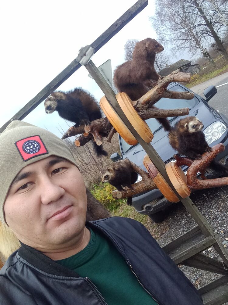 ���� 24734350 ������� ���, 33 ����, ���� ���������� � ���������