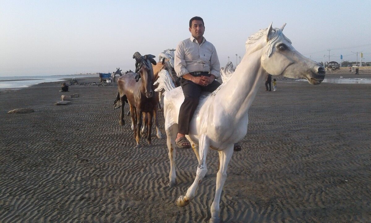  ,   Arman, 52 ,   ,   , c 