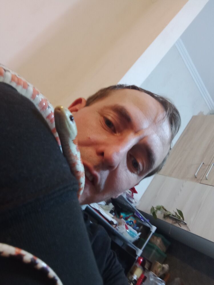  32414160  , 41 ,    