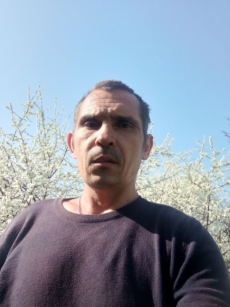  42449810  , 39 ,    