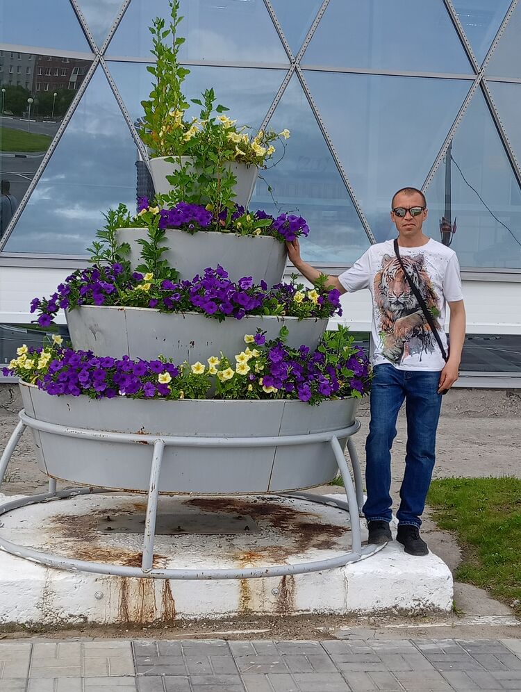 ���� 28620120 ������� ����, 42 ����, ���� ���������� � ���������