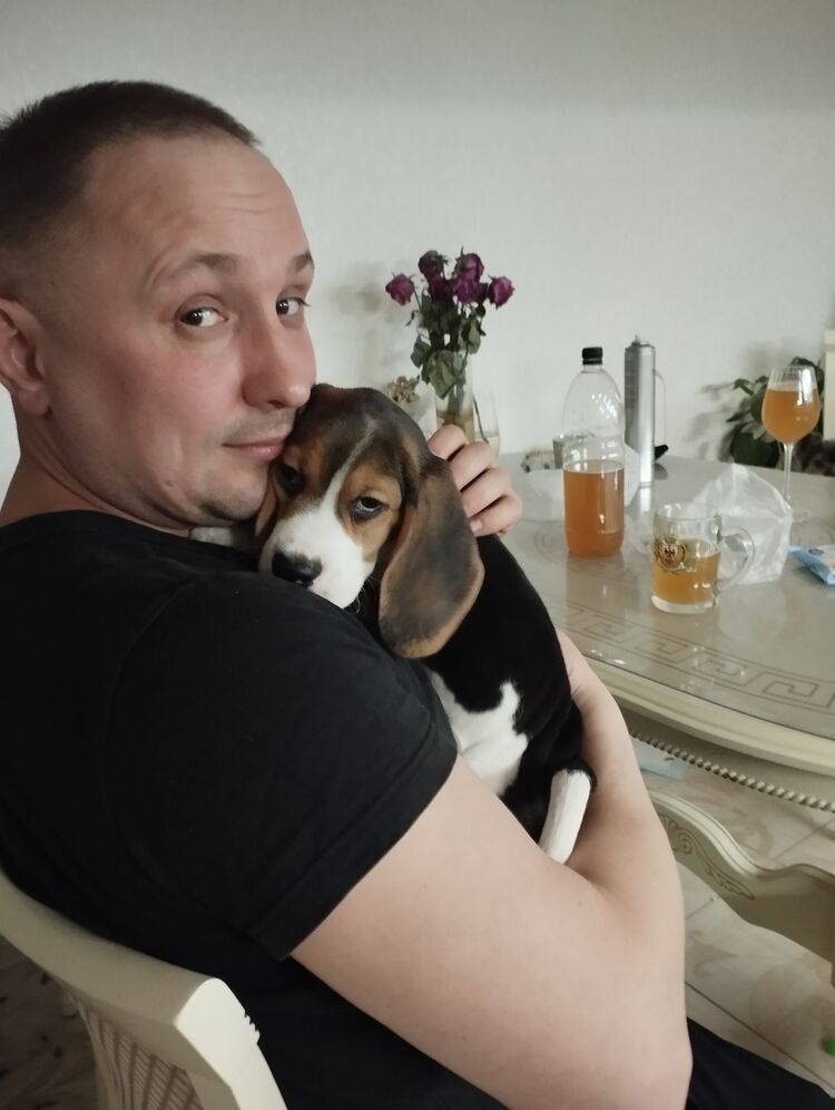 ���� 56015620 ������� �������, 38 ���, ���� ���������� � ������������