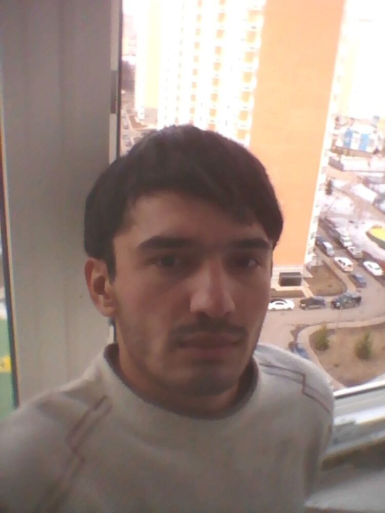  9356040  , 33 ,    