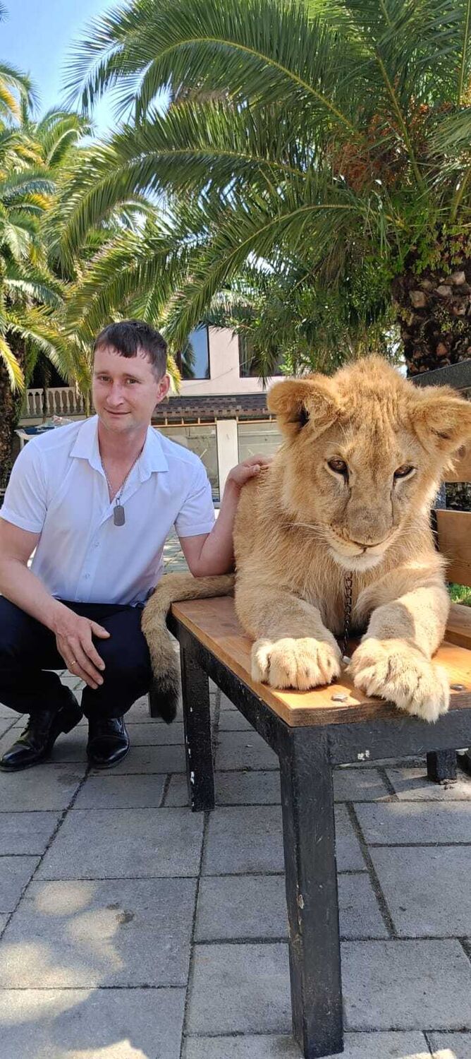 ���������� �����, ���� ������� Popov, 33 ����, ������������ ��� ������, ����� � ���������