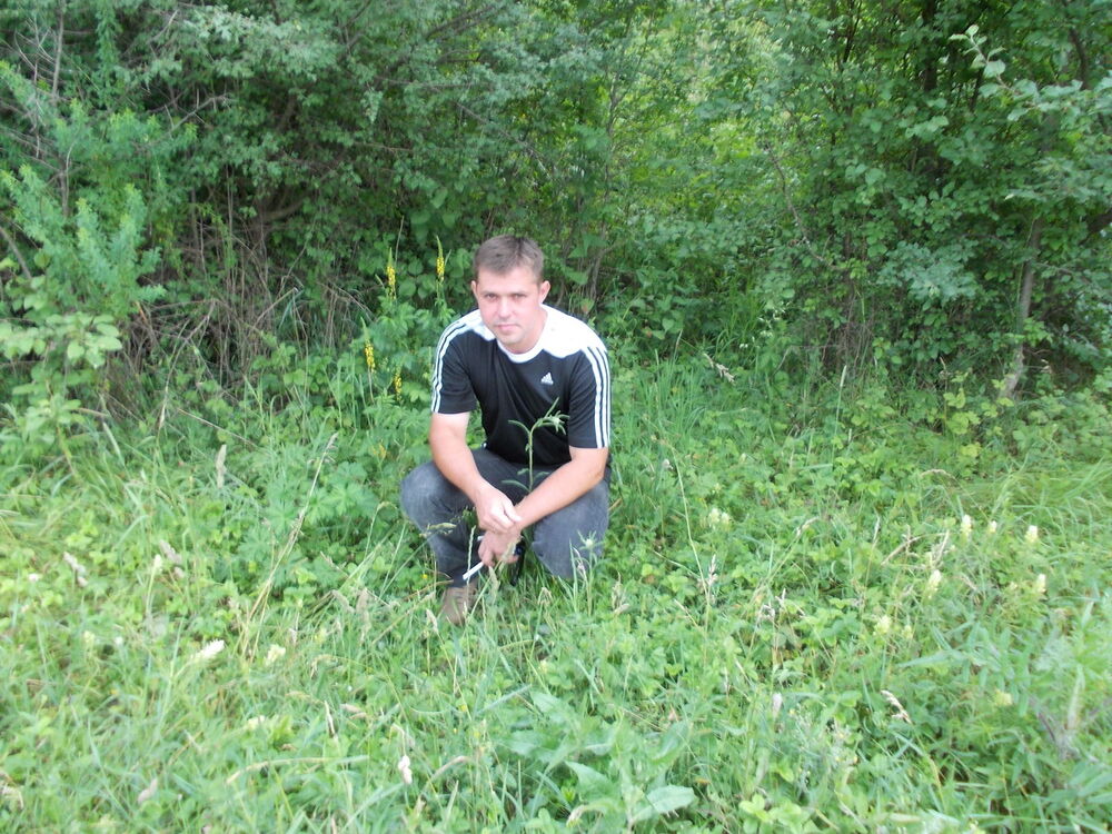 ���� 8239690 ������� ���������, 48 ���, ���� ���������� � ��������