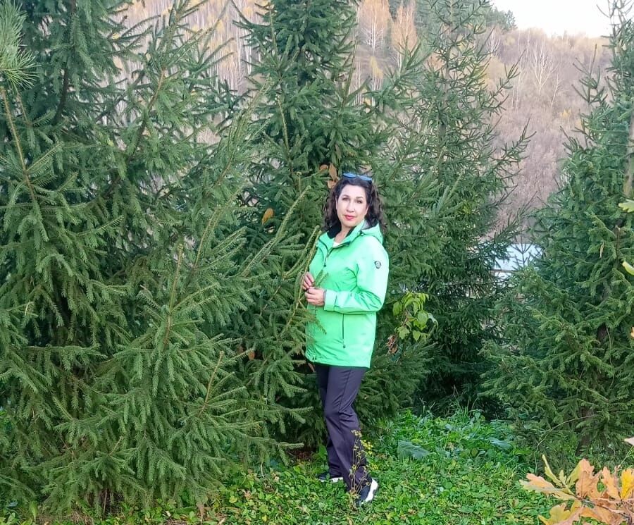 ���������� �����������, ���� ������� �������, 56 ���, ������������ ��� ������, ����� � ���������, c�������� ���������